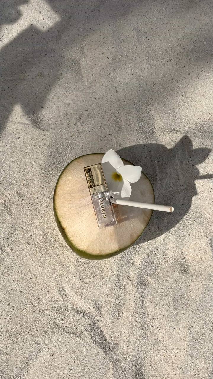 Sand Dollar Glow